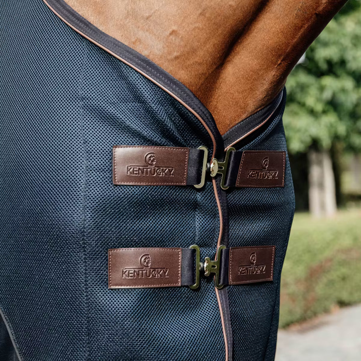 Kentucky Mesh combo cooler sheet