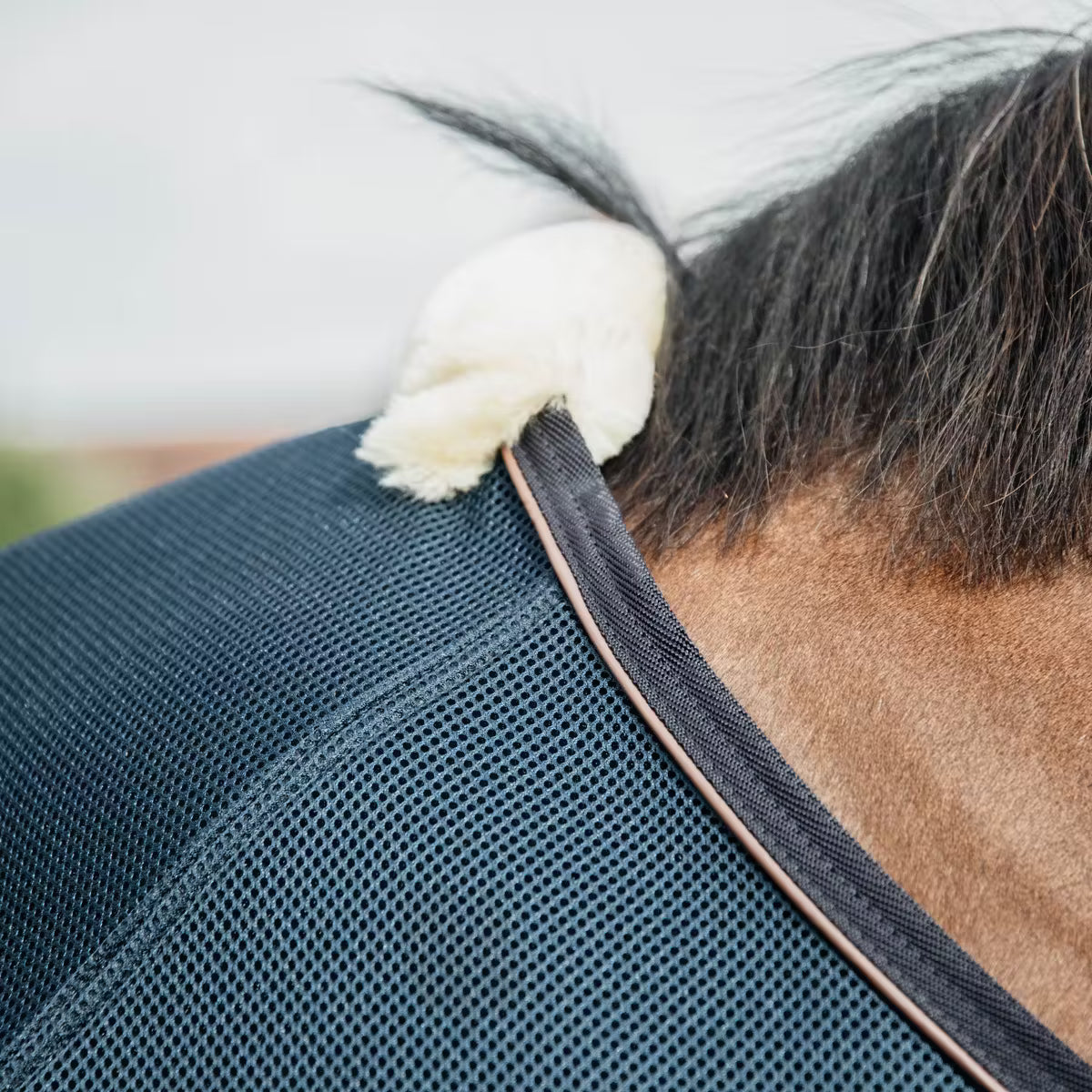 Kentucky Mesh combo cooler sheet