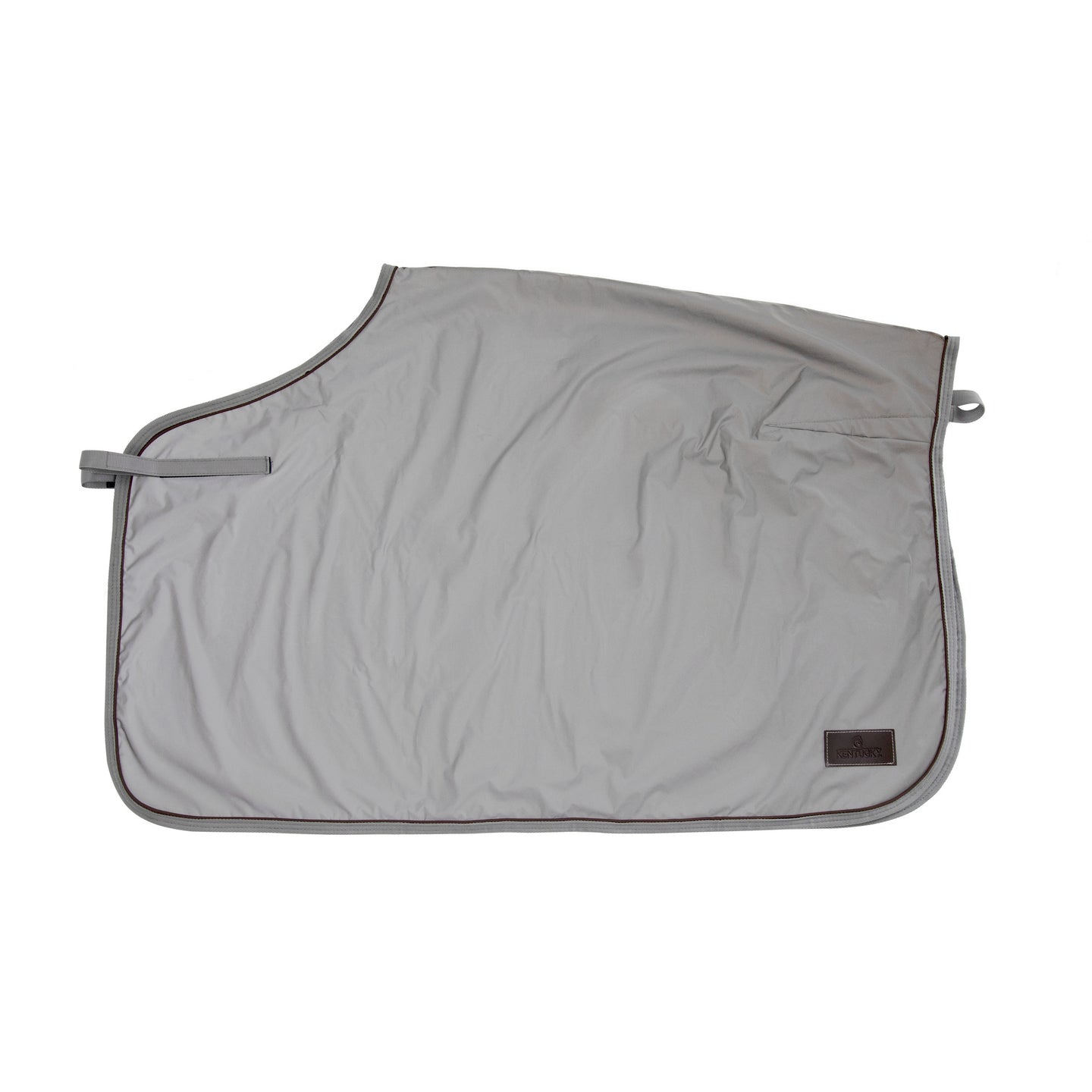 Kentucky Quarter rug reflective