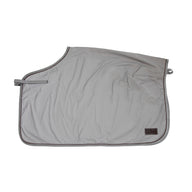 Kentucky Quarter rug reflective