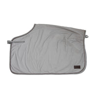 Kentucky Quarter rug reflective