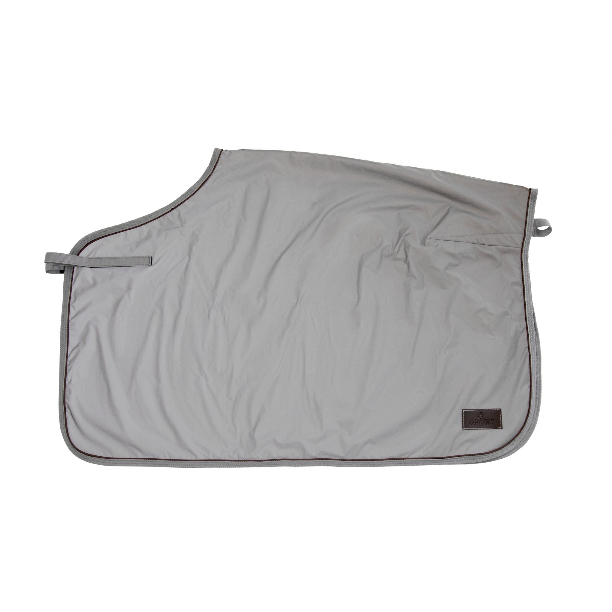 Kentucky Quarter rug reflective