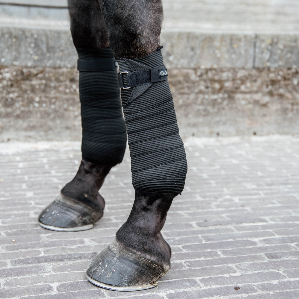 Kentucky Polar Fleece &amp; elastic bandage