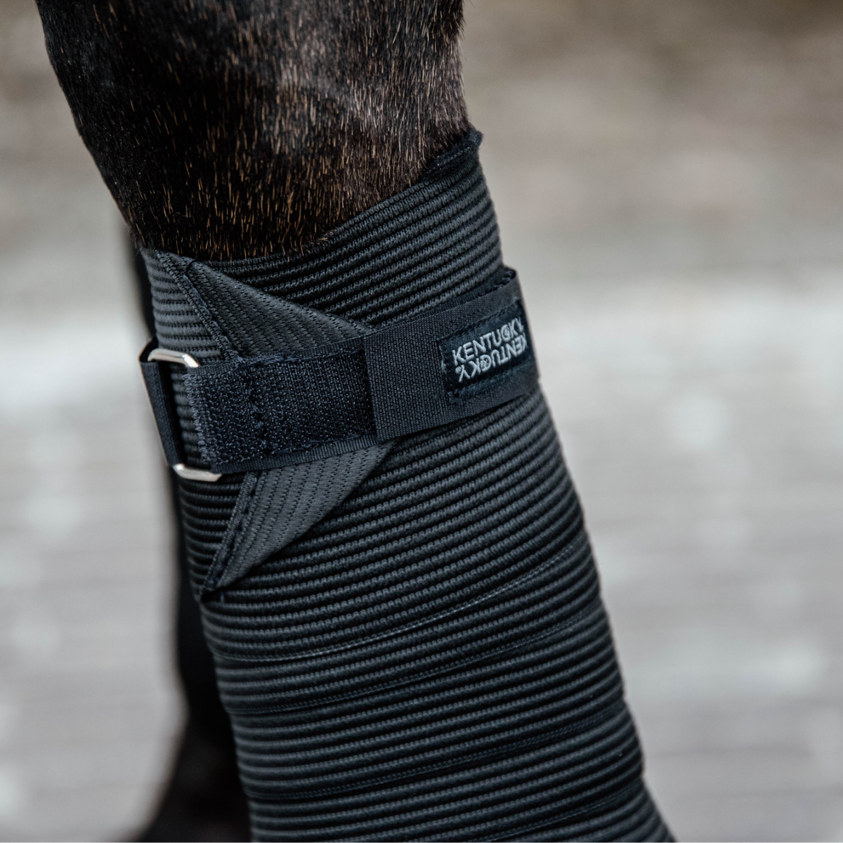Kentucky Elastic bandage