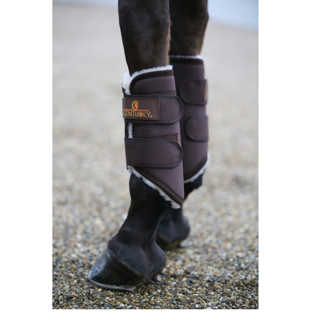Kentucky Turnout boots Solimbra fram