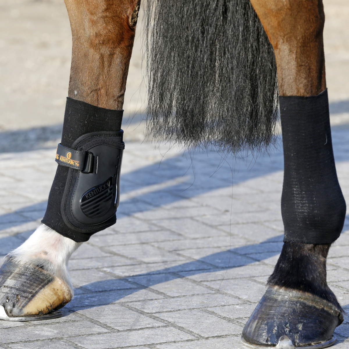 Kentucky Tendon Grip Gel