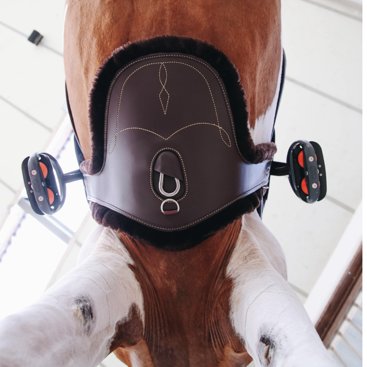 Kentucky Magplatta med fårskinn