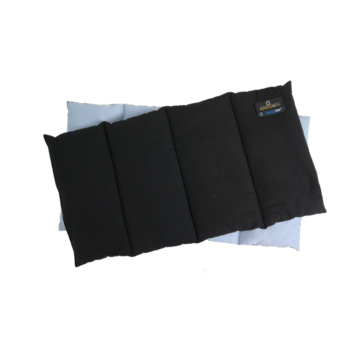 Kentucky Magnetic Recuptex Stallpaddar