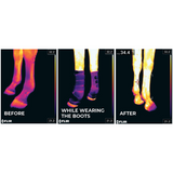 Kentucky Magnetic Recuptex Stallpaddar