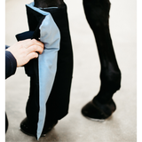 Kentucky Magnetic Recuptex Stallpaddar