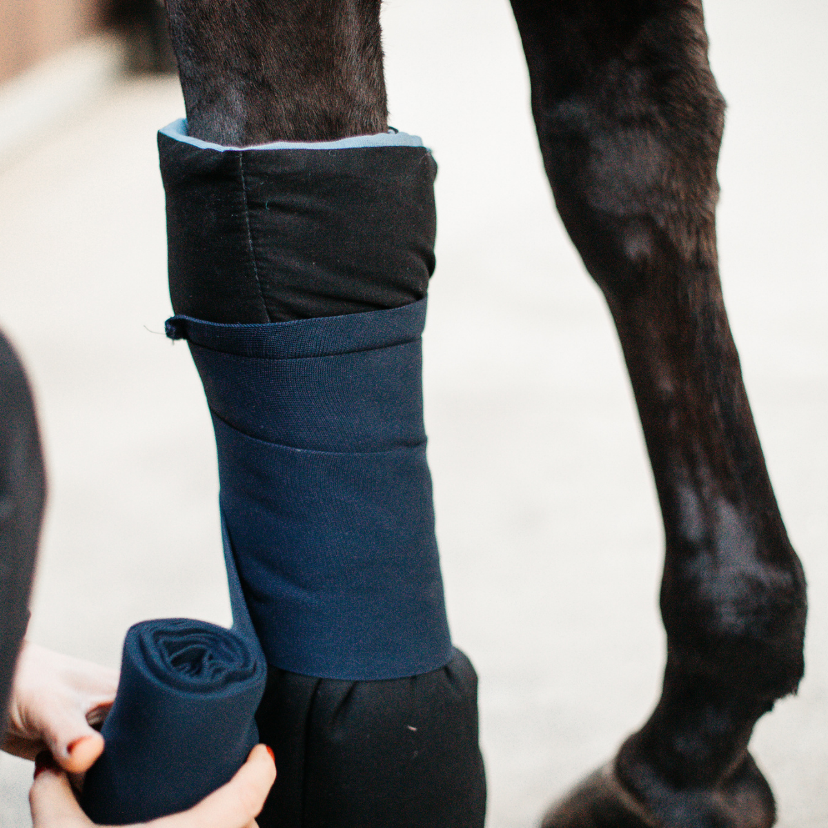 Kentucky Magnetic Recuptex Stallbandage