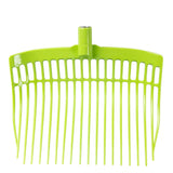 Källquist Grephuvud vuxen