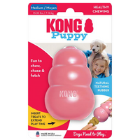 KONG Puppy