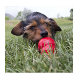 KONG Easy Treat Peanut Butter