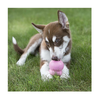 KONG Easy Treat Puppy