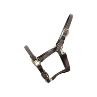 Kentucky Grimma Plaited Nylon