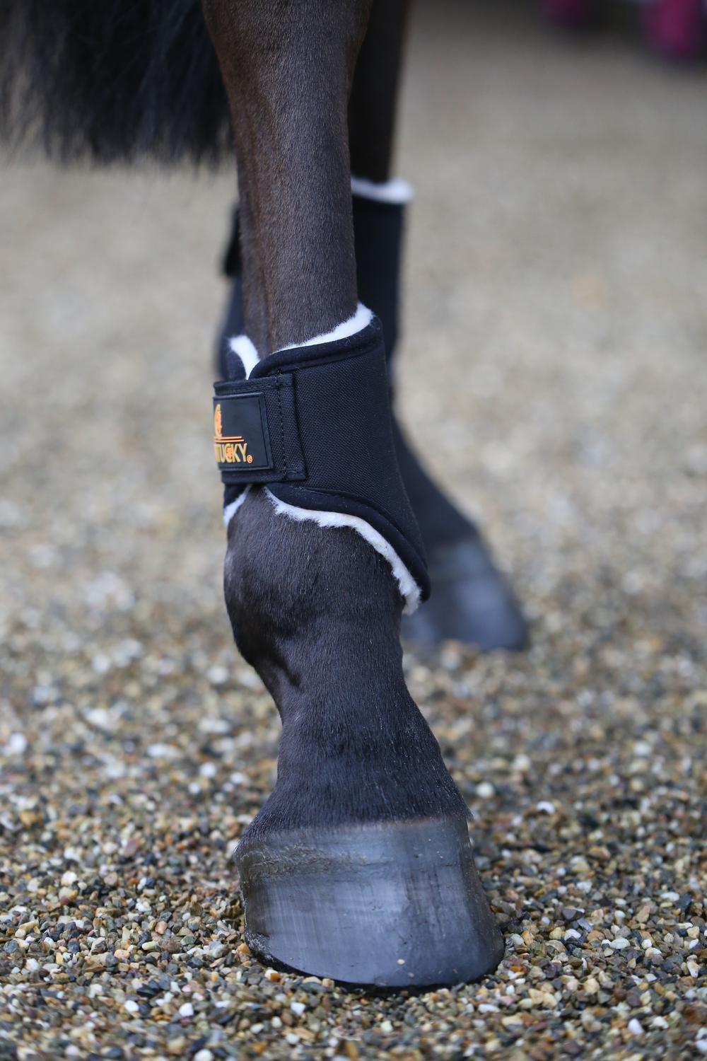 Kentucky Turnout Boots Solimbra Short Bak