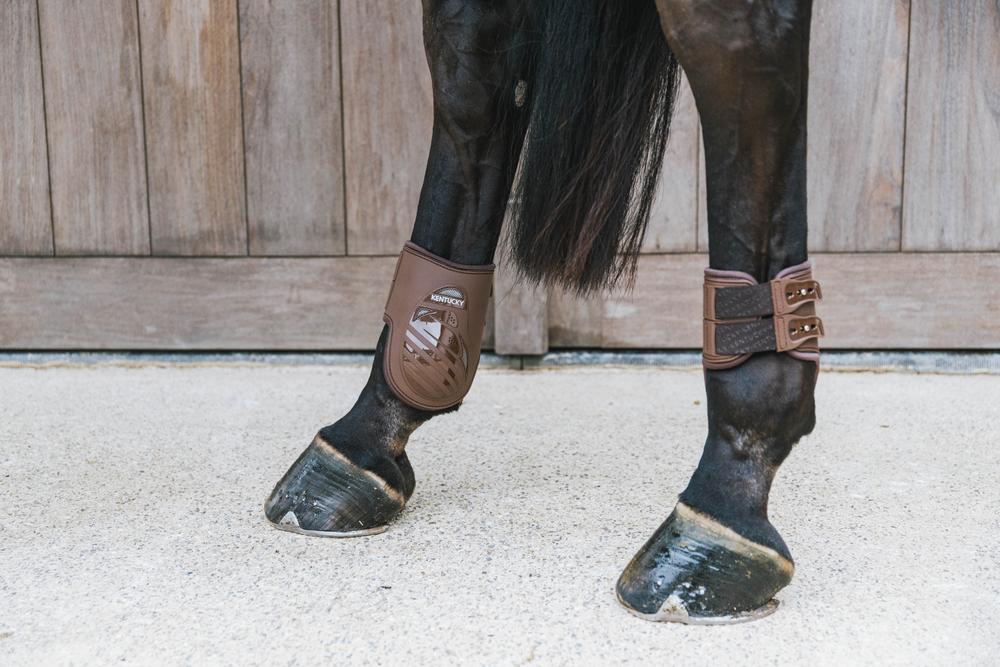 Kentucky Karledsskydd Elastic