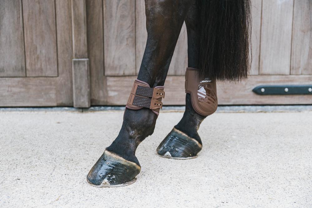 Kentucky Karledsskydd Elastic
