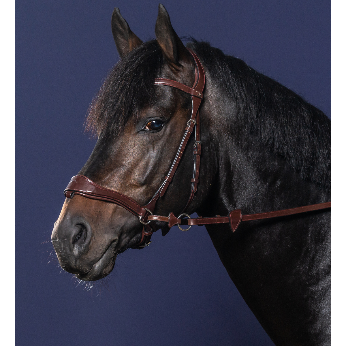 Dyon NE D-Motion träns