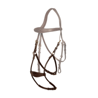 Dyon DY Nosgrimma Hybrid