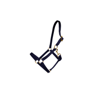 Kentucky Grimma Nylon