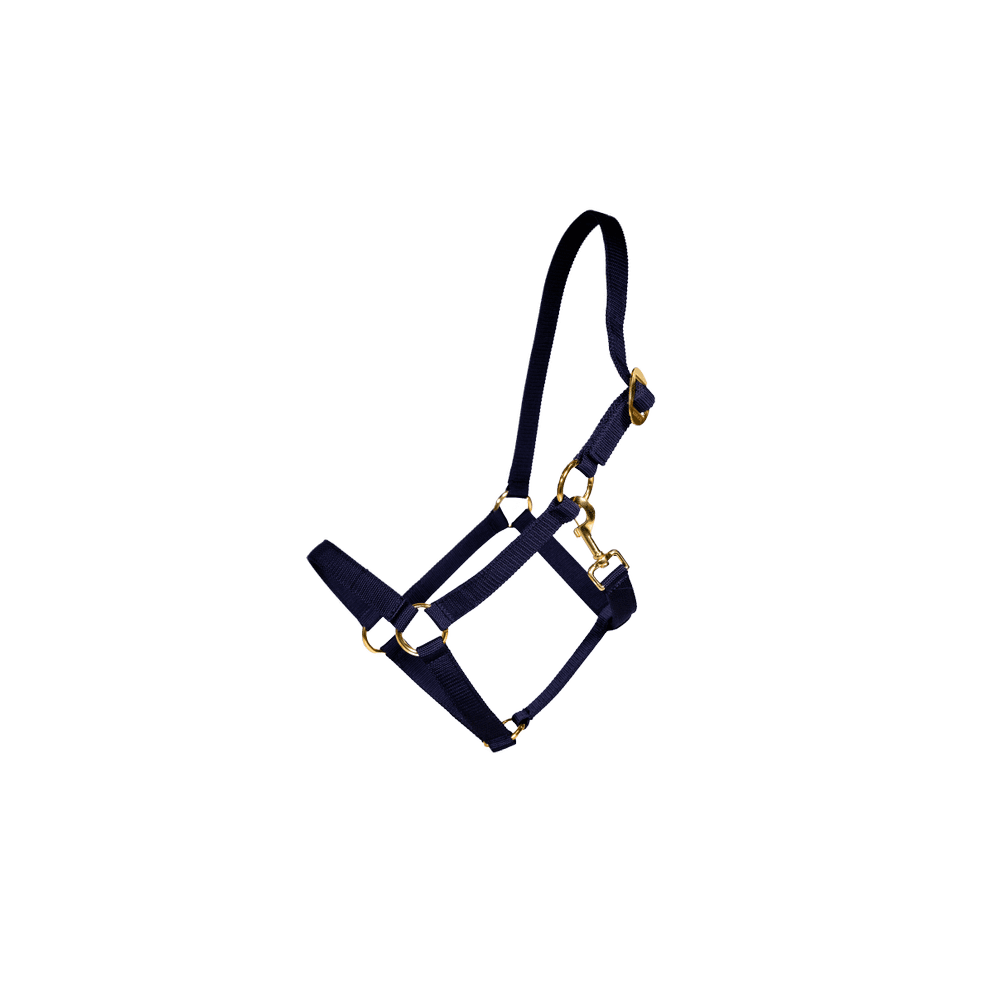 Kentucky Grimma Nylon