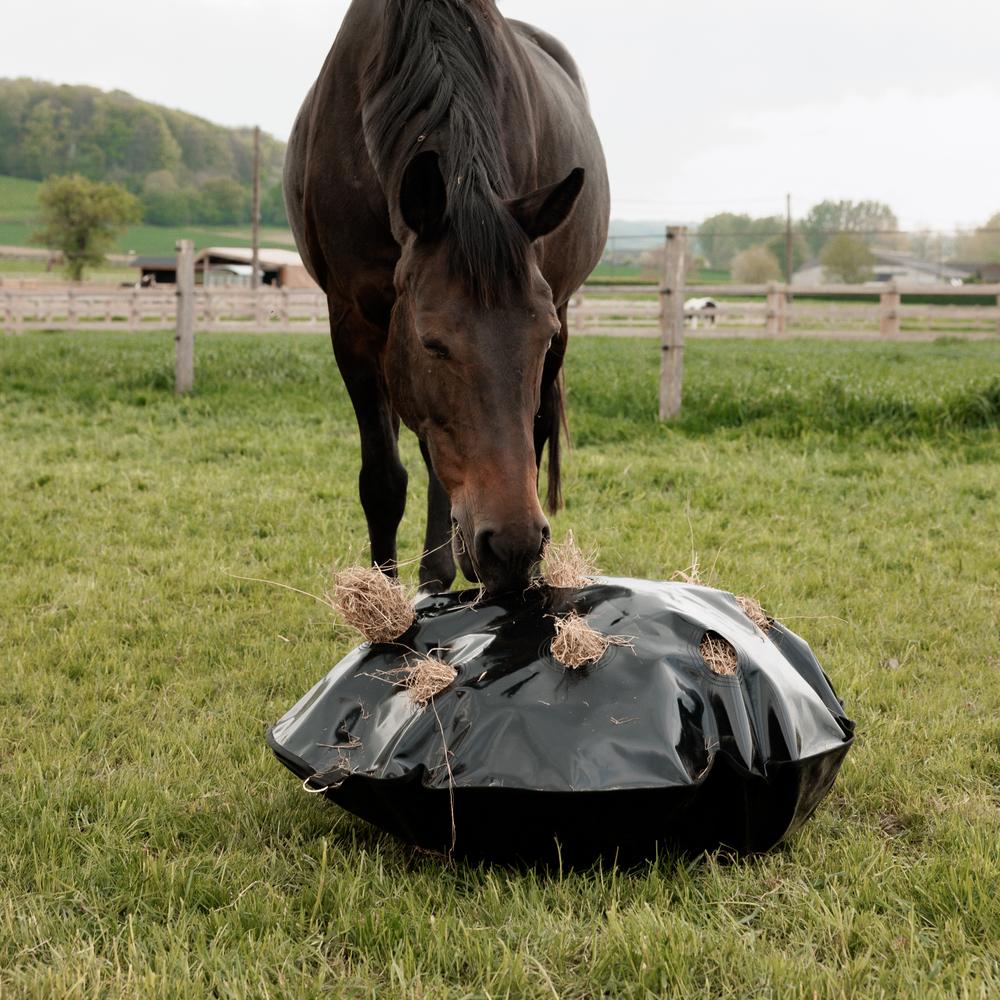Grooming Deluxe Höpåse Play & Haybag Slowfeeder Round