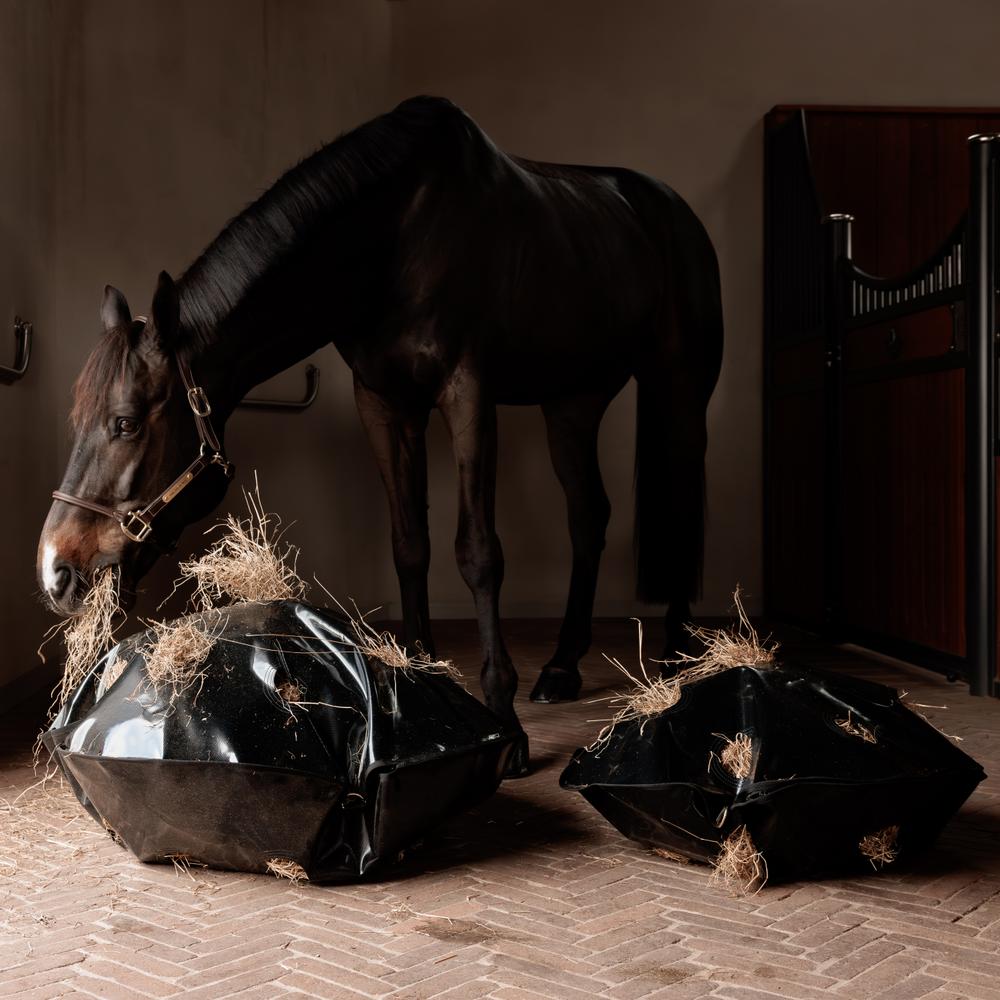Grooming Deluxe Höpåse Play & Haybag Slowfeeder Round