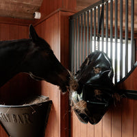 Grooming Deluxe Höpåse Play & Haybag Slowfeeder Round