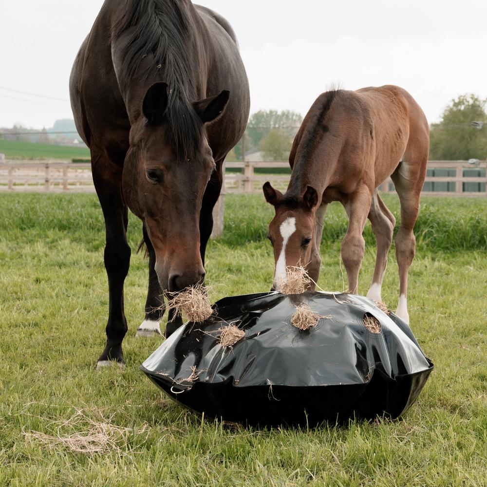 Grooming Deluxe Höpåse Play & Haybag Slowfeeder Round