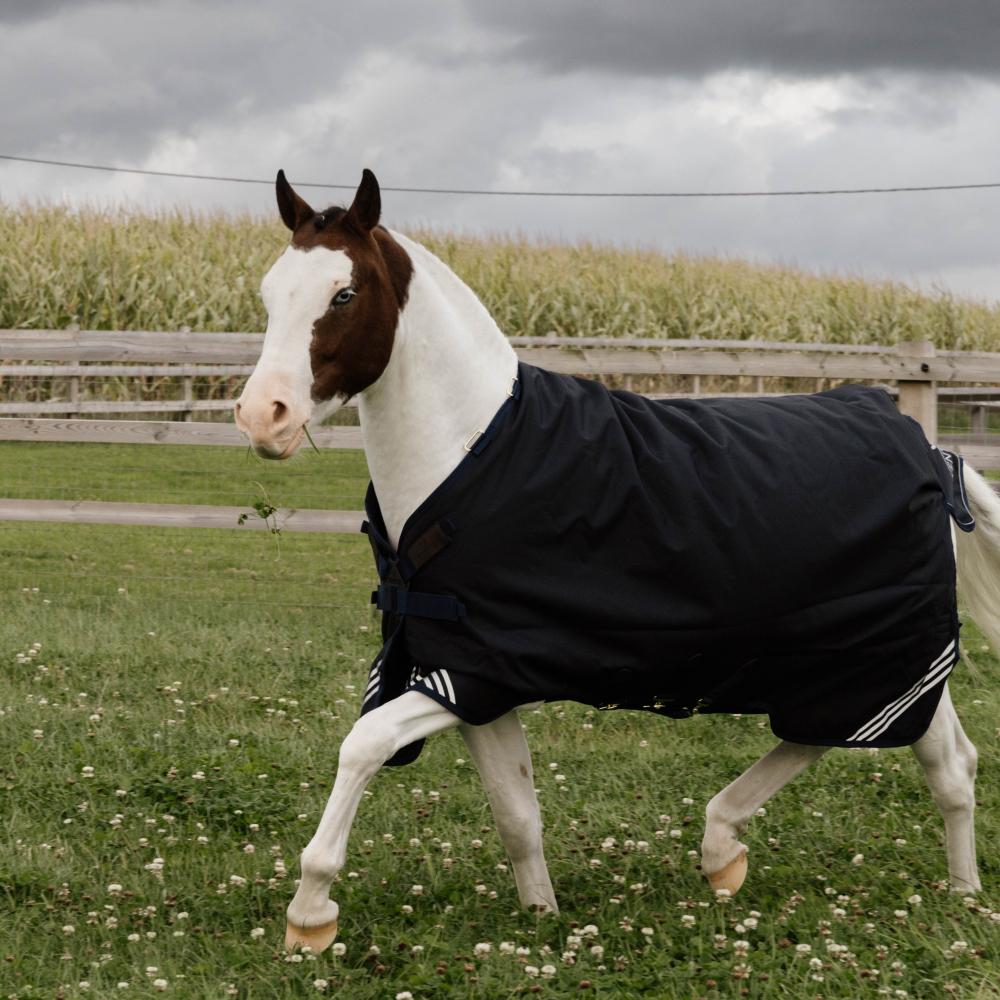 Kentucky Utetäcke All Weather Waterproof Comfort 0 g
