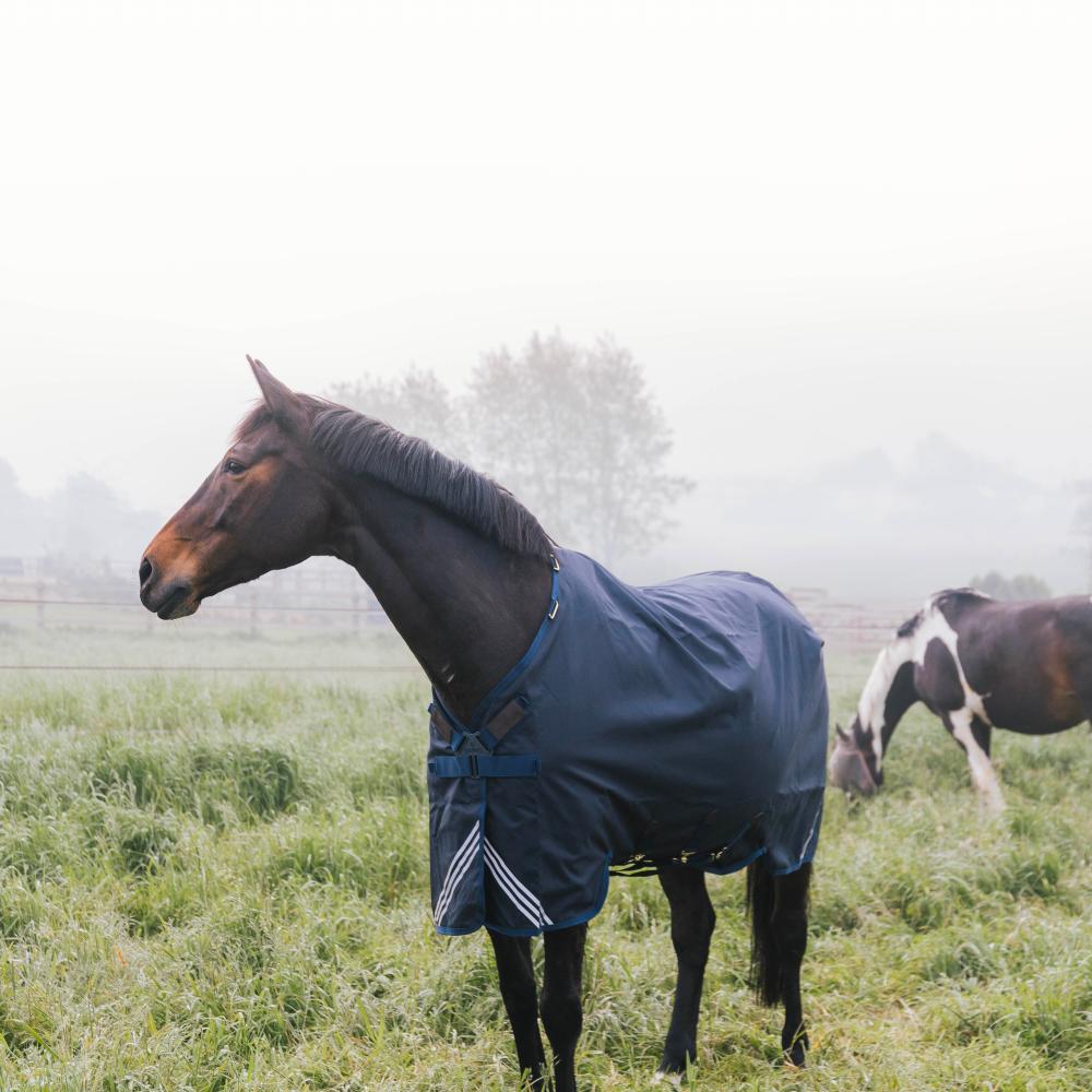 Kentucky Utetäcke All Weather Waterproof Comfort 400g
