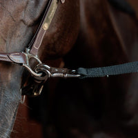 Kentucky Boxgrimskaft och uppbindning Safety