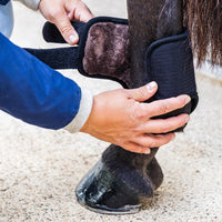 Kentucky Eventing Boots 3D Air Flow Skin Friendly Short bak
