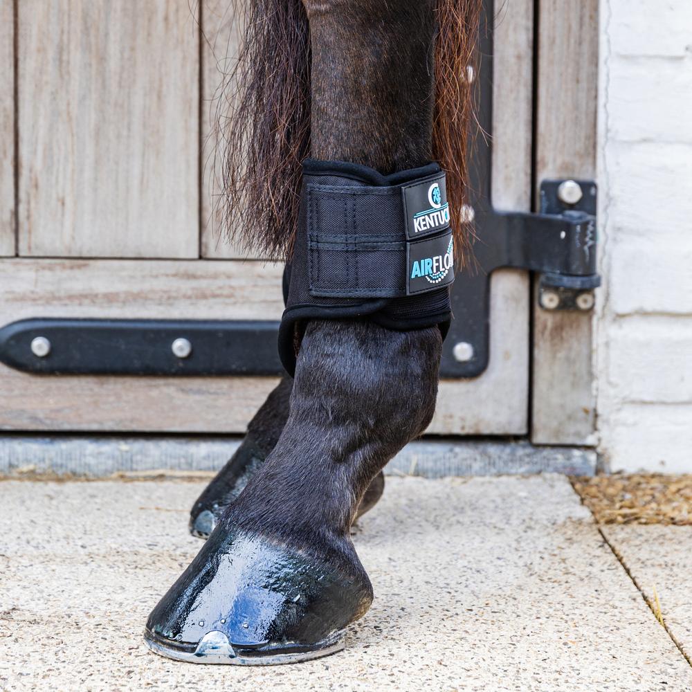 Kentucky Eventing Boots 3D Air Flow Bak Short