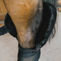 Kentucky Bandageunderlägg Transport Stable med Hasskydd