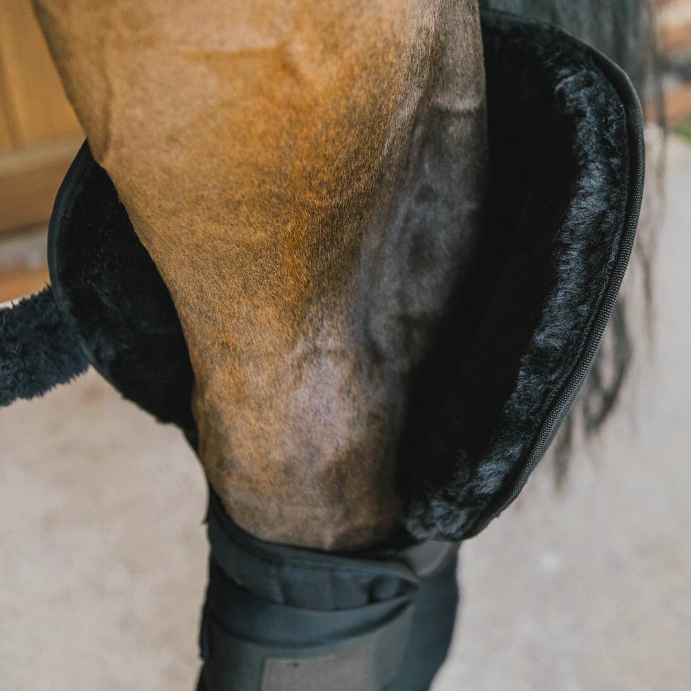 Kentucky Bandageunderlägg Transport Stable med Hasskydd