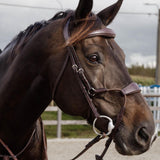Dyon NE Elastic Hybrid nosgrimma