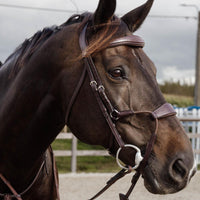 Dyon NE Elastic Hybrid nosgrimma