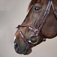 Dyon NE Träns Braided med avtagbar flash
