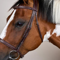 Dyon US Träns engelsk nosgrimma