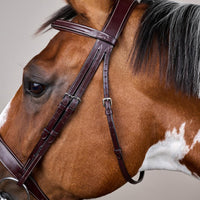 Dyon US Hunterträns bred nosgrimma