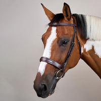Dyon US Hunterträns bred nosgrimma