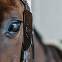 Dyon Blinkers with Fancy