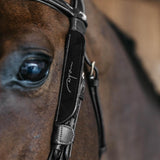 Dyon Blinkers with Fancy
