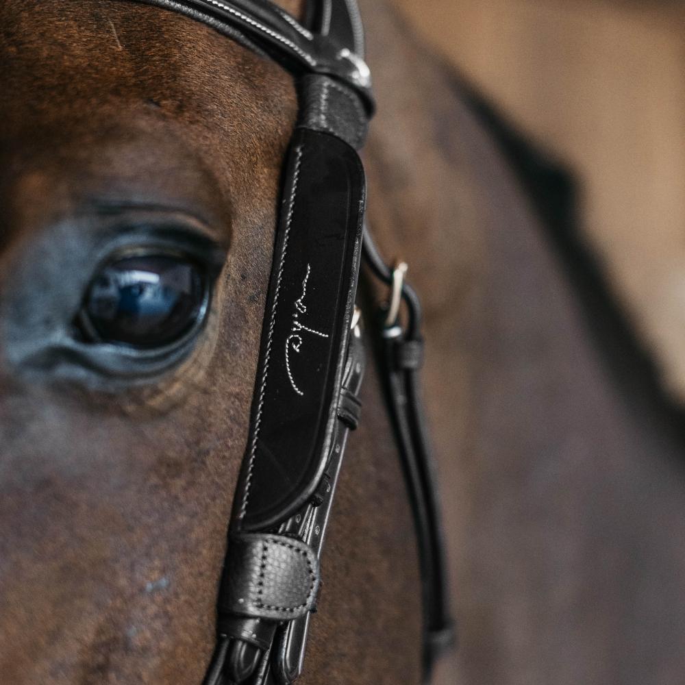 Dyon Blinkers with Fancy