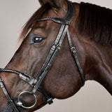 Dyon NE Träns Braided med avtagbar flash