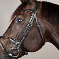 Dyon NE Träns Braided med avtagbar flash