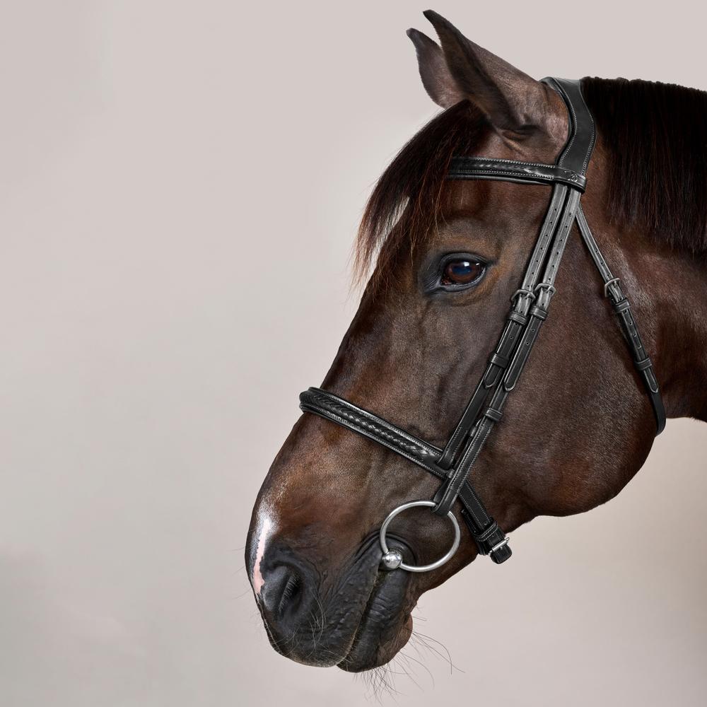 Dyon NE Träns Plaited utan flash